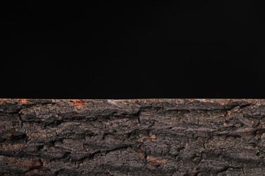 Similar image 21162816