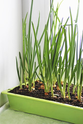 Similar image 21148313