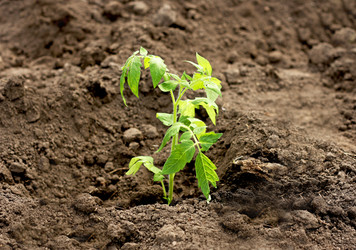 Similar image 21148314