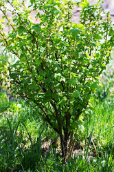 Similar image 21148316