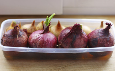 Similar image 21148318