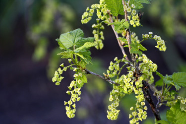 Similar image 21148319