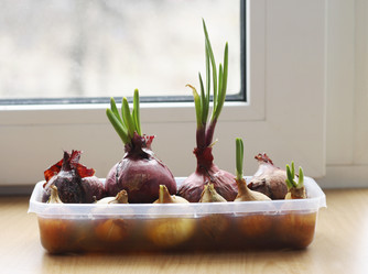 Similar image 21148333