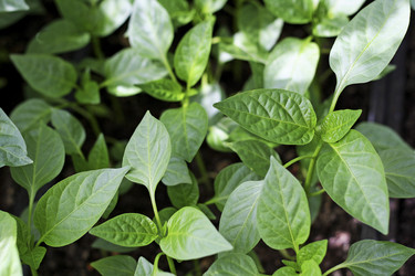 Similar image 21148334