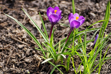 Similar image 21148335