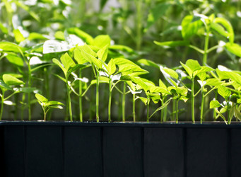 Similar image 21148337