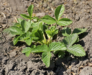 Similar image 21148338