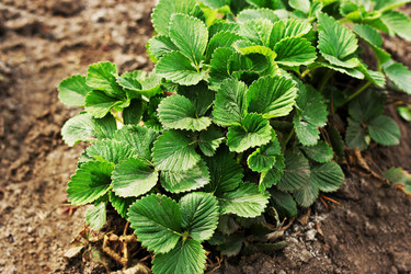 Similar image 21148339