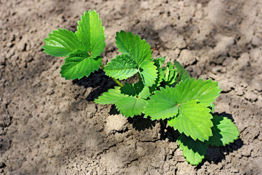 Similar image 21148370