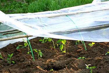 Similar image 21148371