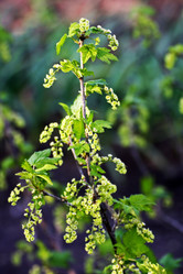 Similar image 21148373