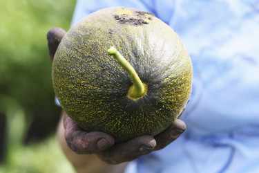 Similar image 21148375