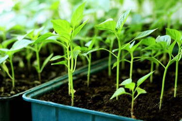 Similar image 21148376