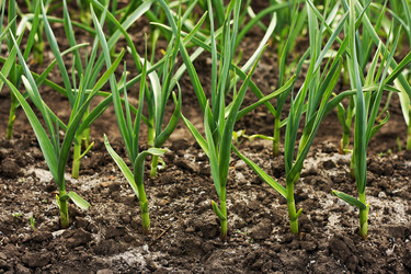 Similar image 21148398