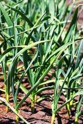 Similar image 21148807