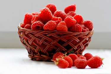 Similar image 21148809