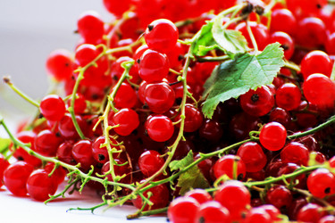 Similar image 21148812