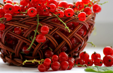 Similar image 21148813