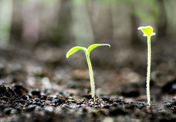 Similar image 21148815