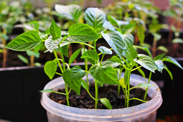 Similar image 21148817