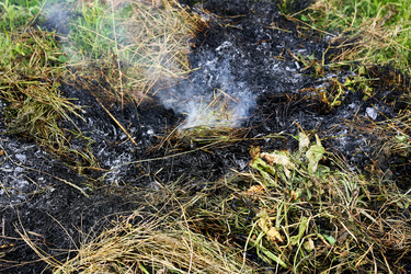 Similar image 21148819