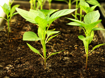 Similar image 21148824