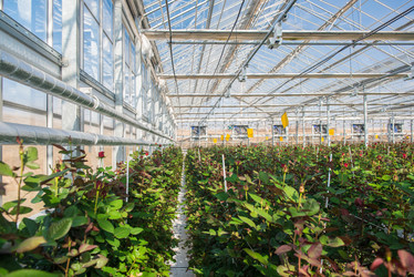 Similar image 21163797