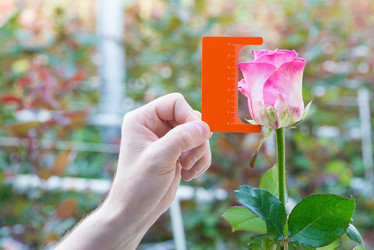 Similar image 21163799