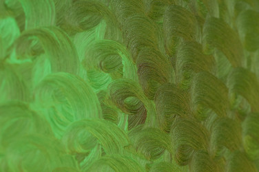 Similar image 21163302