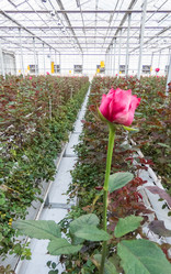 Similar image 21163313