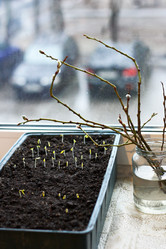 Similar image 21148826