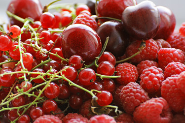 Similar image 21148830