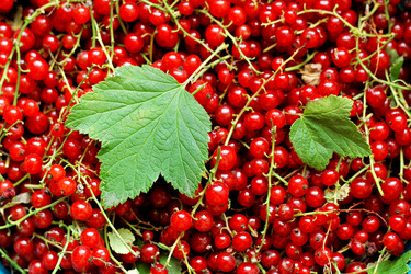 Similar image 21148834