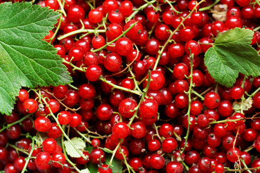 Similar image 21148836