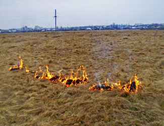 Similar image 21148837