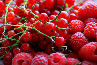 Similar image 21147542