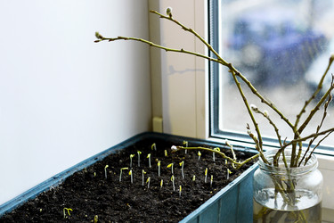 Similar image 21147543