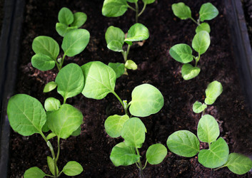 Similar image 21147549