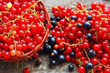 Similar image 21147550