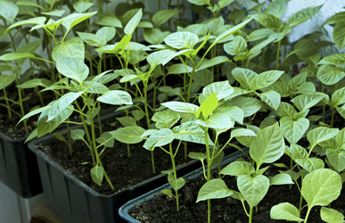 Similar image 21147551