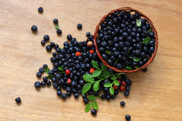 Similar image 21147552