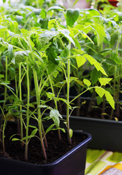 Similar image 21147553