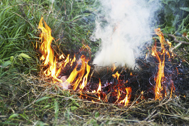 Similar image 21147555