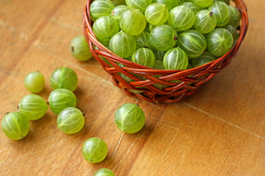 Similar image 21147563