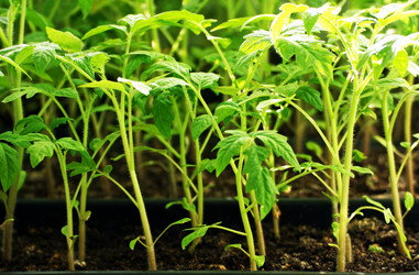 Similar image 21147564