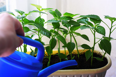 Similar image 21147565