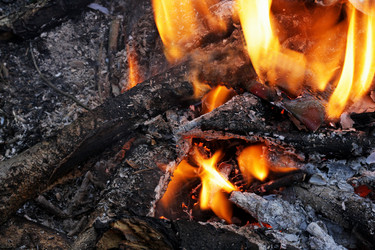 Similar image 21147566