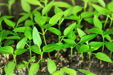 Similar image 21147569