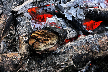 Similar image 21147570