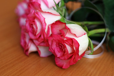 Similar image 21147573